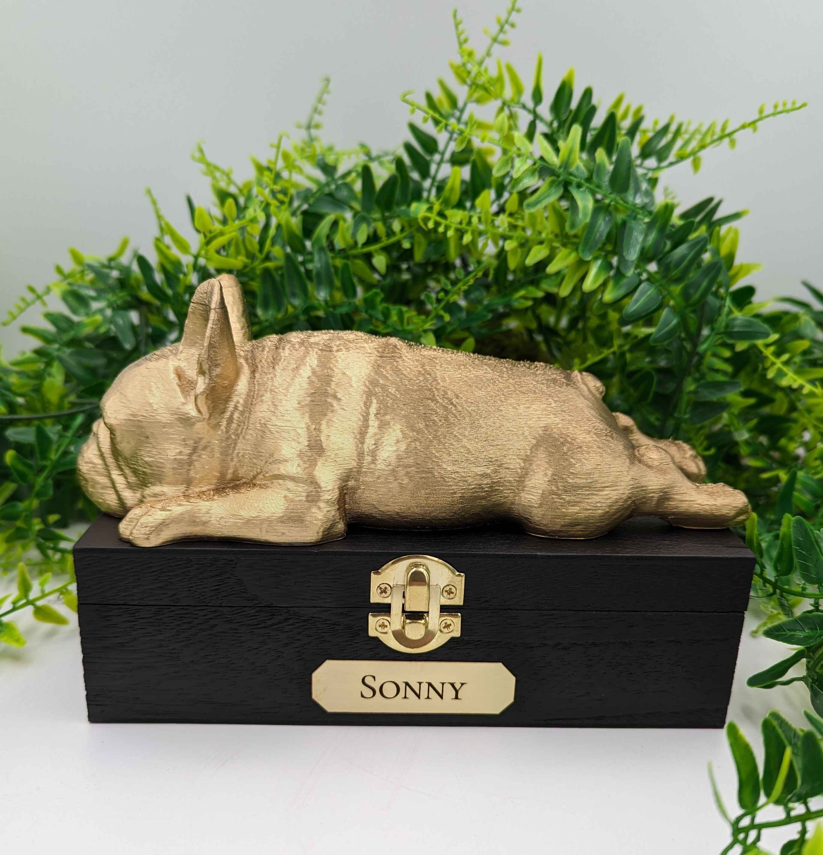Boîte à Souvenirs Poils Animaux - Porte-clés En Cuir Forme Patte - Mémorial Personnalisé Pour Chien, Chat