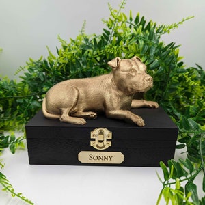 Op de afbeelding: Een goudkleurig hondenbeeldje rust op een zwarte houten kist met een gouden sluiting en een naamplaatje met de tekst "Sonny". De kist is omgeven door groen gebladerte, wat een decoratieve presentatie creëert.