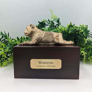 Luxury English Bulldog Ashes Box | English Bulldog Ashes Urn | Dog Ashes Urn | Pet Urn | Custom brass name plaque.