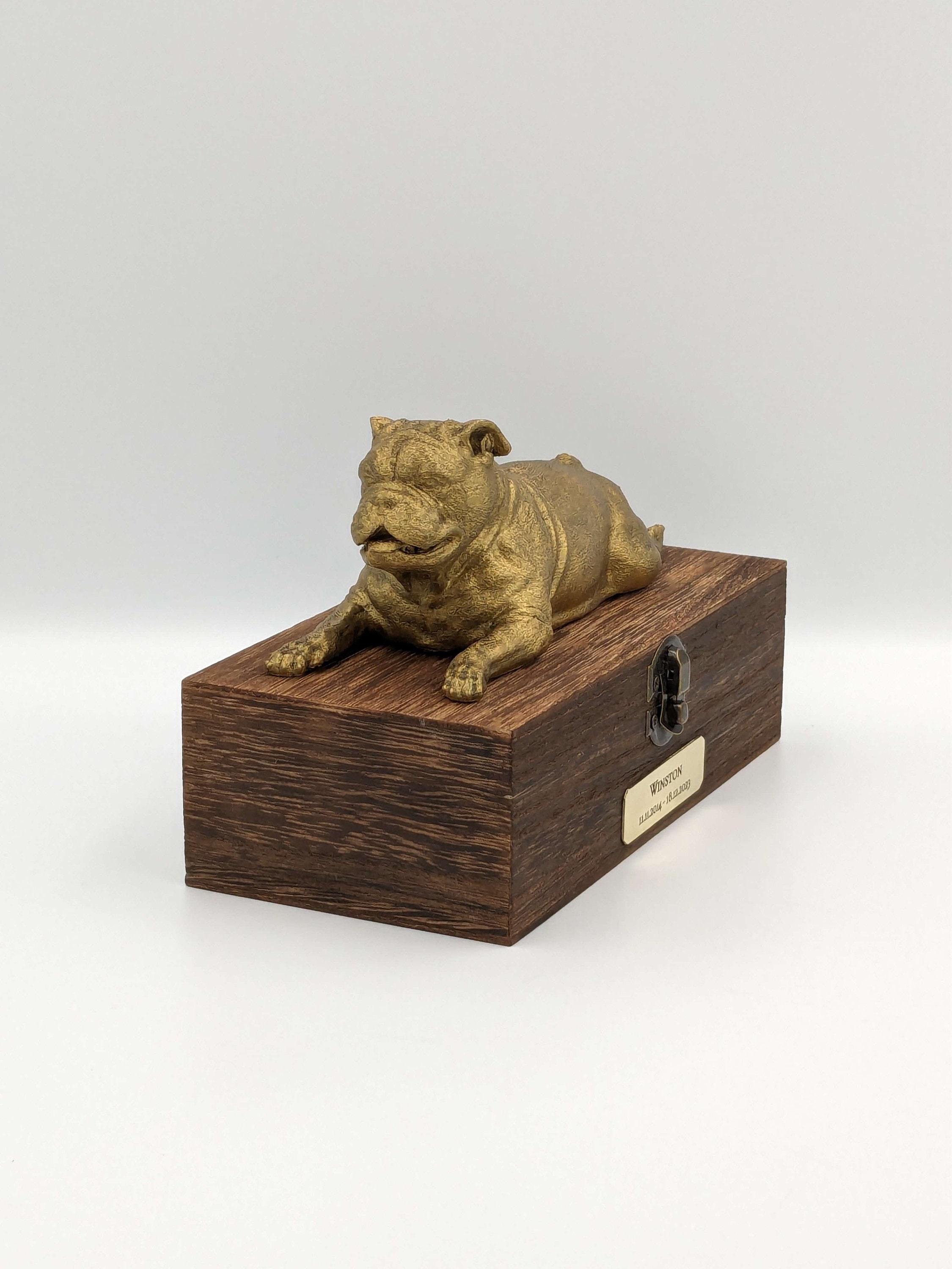 Boîte de luxe de cendres de bouledogue anglais | Urne à cendres de bouledogue anglais | Urne à cendres de chien | Urne pour animaux de compagnie | Plaque nominative personnalisée.