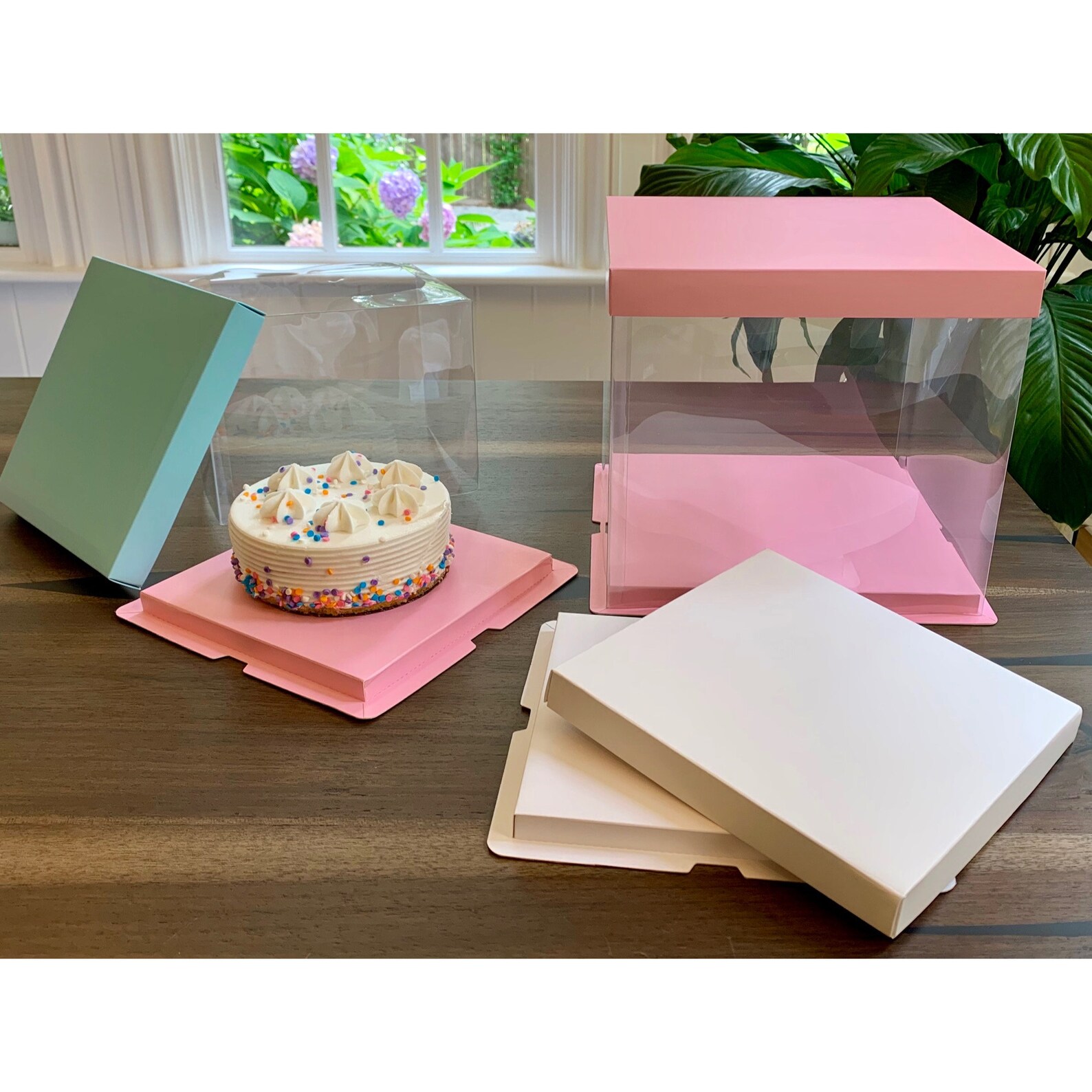 Clear Cake Box Carrier Deluxe Packing Cake Boxes Etsy