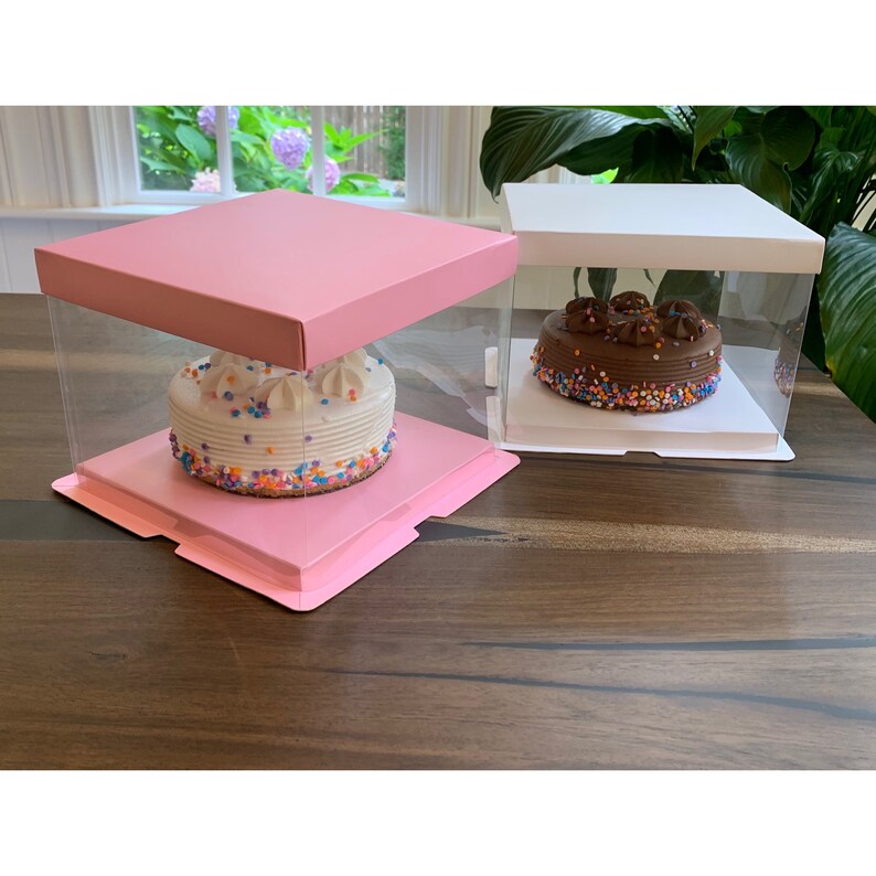 Clear Cake Box Carrier Deluxe Packing Cake Boxes Etsy