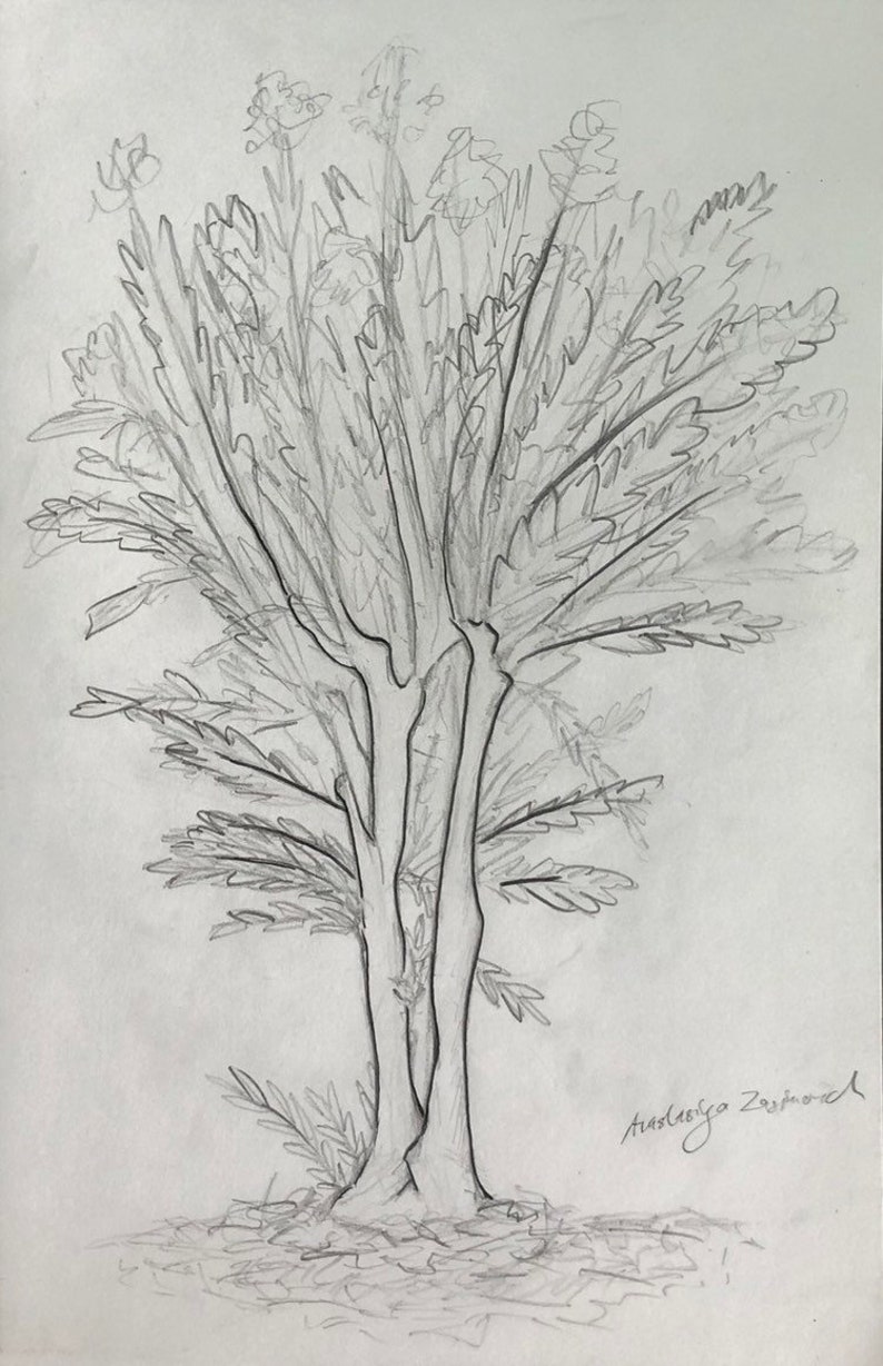 Pencil Drawing Original Handmade Item Tree Art Acid Free Paper Nature Illustration Wall Art Pencil Sketch Matte Board