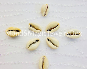 Cowrie Authentic Real Shells |Conchas Auténticas De Cowrie