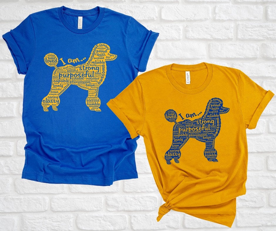 新品未使用 TAO Poodle Rooster T-Shirt 6Y