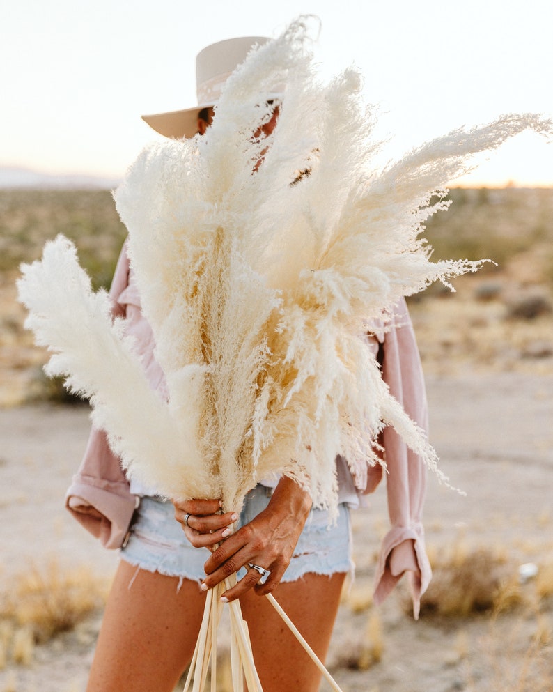 Pampas Grass Large 4 Feet Bleach White Dried Pampas by Luxe B Etsy