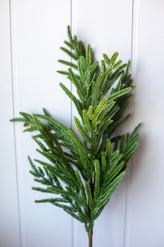 Norfolk Pine Stem Real Touch Green Faux Artificial Pine Spray
