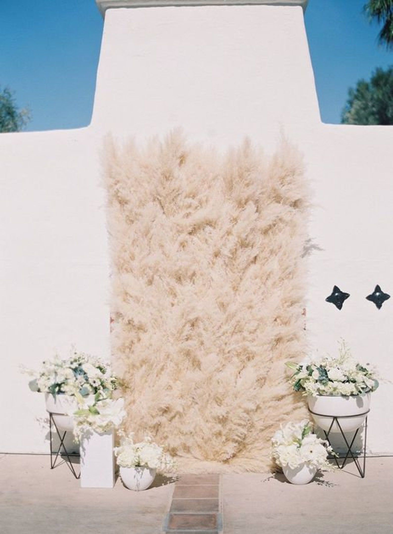 Pampas Grass Large 4 Feet Bleach White Dried Pampas by Luxe B Etsy