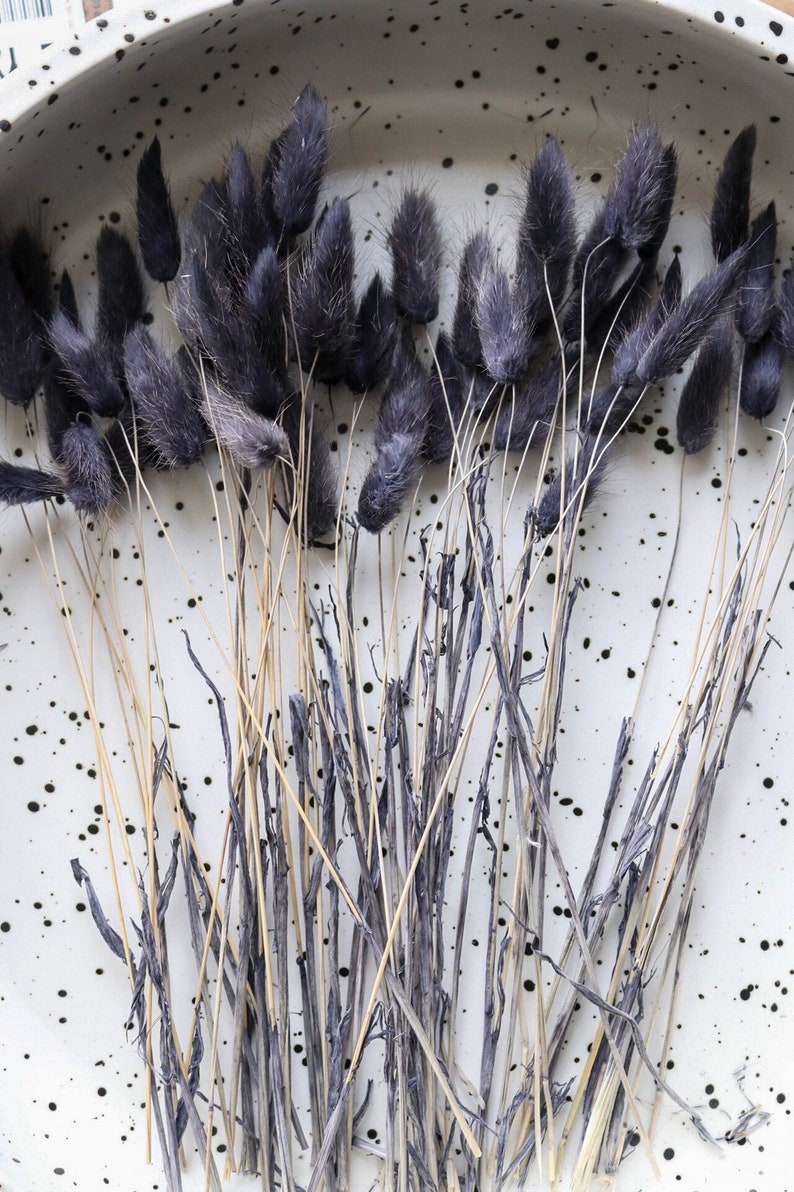 BUNNY TAILS Charcoal black by Luxe B Pampas Grass Etsy