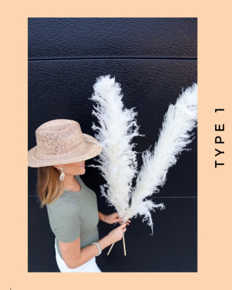 Pampas Grass Large 4 Feet Bleach White Dried Pampas by Luxe B Etsy