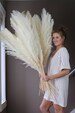 Pampas Grass Large 4 feet Bleach White Dried Pampas by Luxe B Pampas Grass - Type 1 