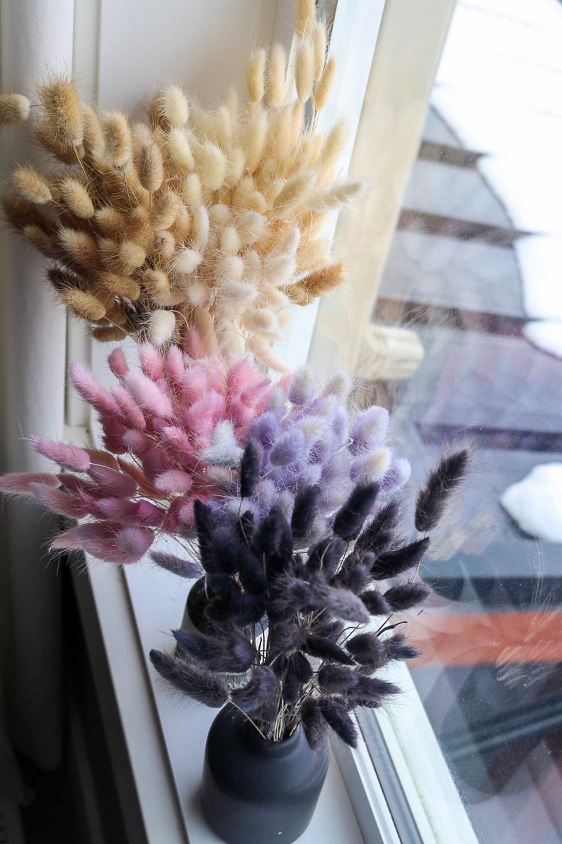 BUNNY TAILS Charcoal Black by Luxe B Pampas Grass Etsy