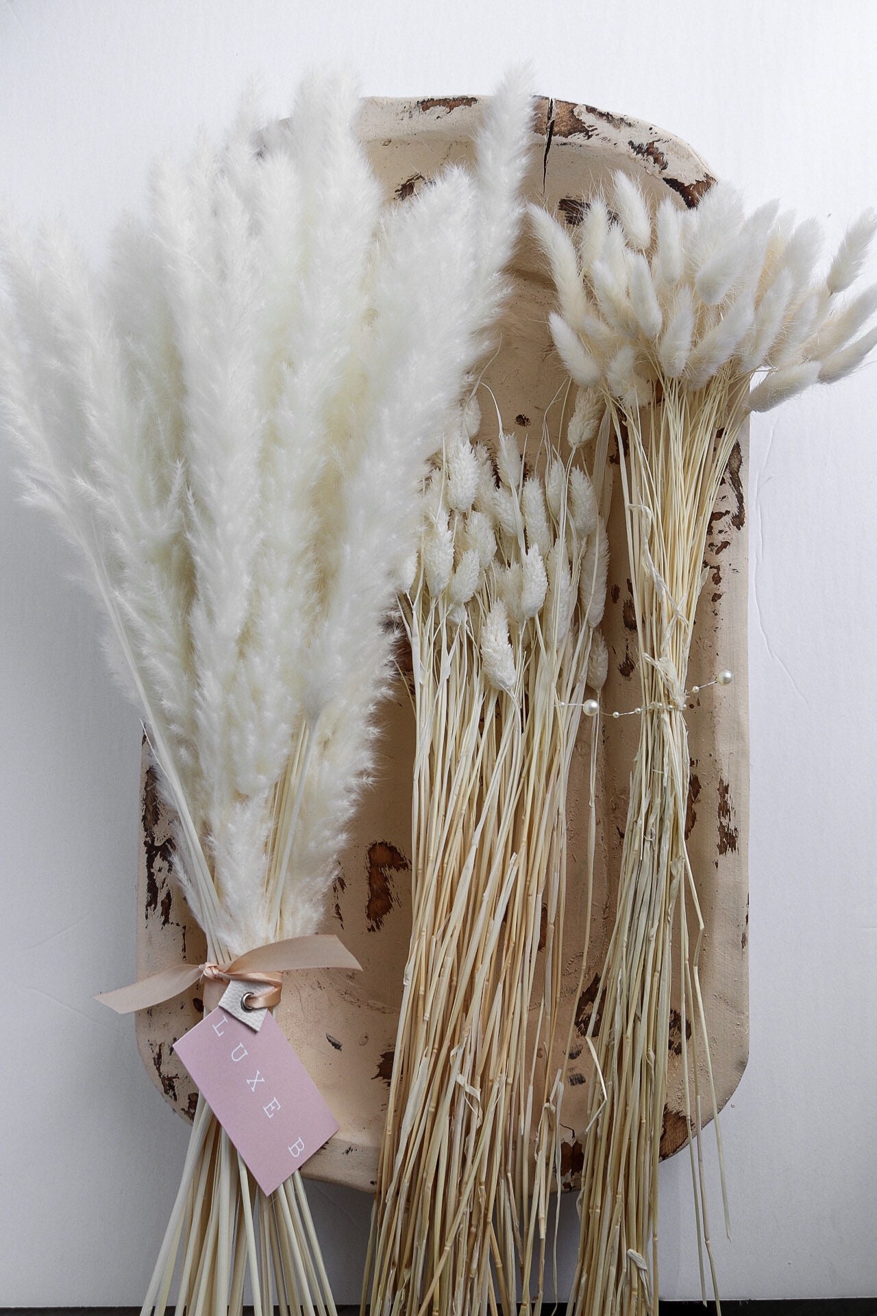Pampas Grass Dried Bleach White Flower Bunnytails Pampas Etsy