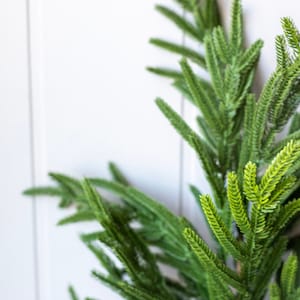 Norfolk Pine Stem Real Touch Green Faux Artificial Pine Spray Christmas Greenery Winter Holiday Artificial Evergreen Cedar image 7