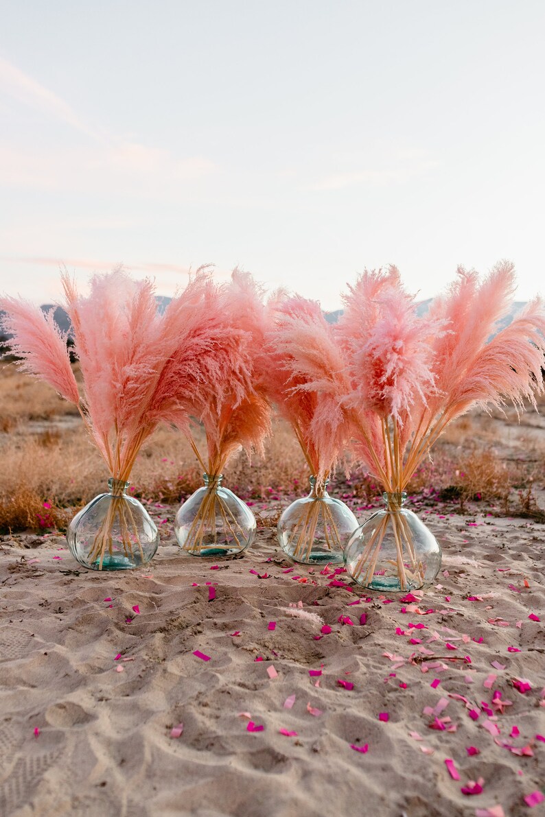 bright pink pampas grass