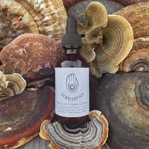 West Coast Polypore Blend
