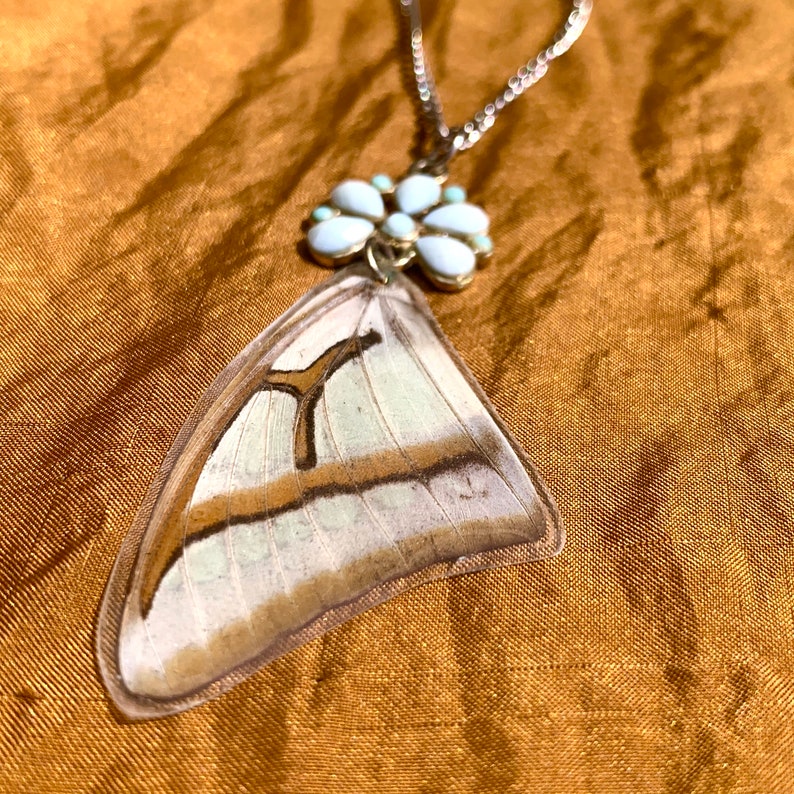 SOLD Preserved Butterly Wing Necklace