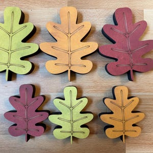 May include: Six flat, leaf-shaped cutouts arranged in two rows. The top row features light green, orange, and dark red leaves, while the bottom row includes dark red, light green, and orange leaves. Each leaf has a dark edge and etched veins.