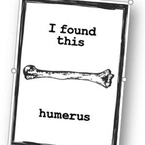4 Funny Anatomy Posters- Download
