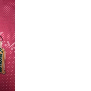 Könnte beinhalten: Drei beigefarbene Leder-Schlüsselanhänger mit silbernen Schlüsselringen. Jeder Schlüsselanhänger hat ein grünes und gelbes gesticktes Design mit der Aufschrift "Steinbock" und dem astrologischen Symbol für Steinbock.