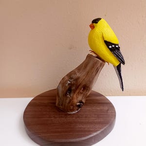 American Goldfinch