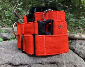 Bright orange dog collar