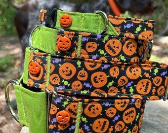 Jack O’lantern dog collar or leash