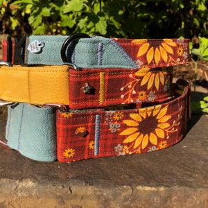 Fall sunflower dog collar