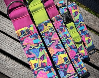 May include: Four dog collars with different patterns. One is solid pink, one is solid green, and two have a colorful mushroom pattern on a dark background.