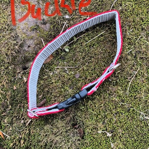 May include: A red and gray dog collar with a black plastic buckle. The collar is lying on a bed of green moss.