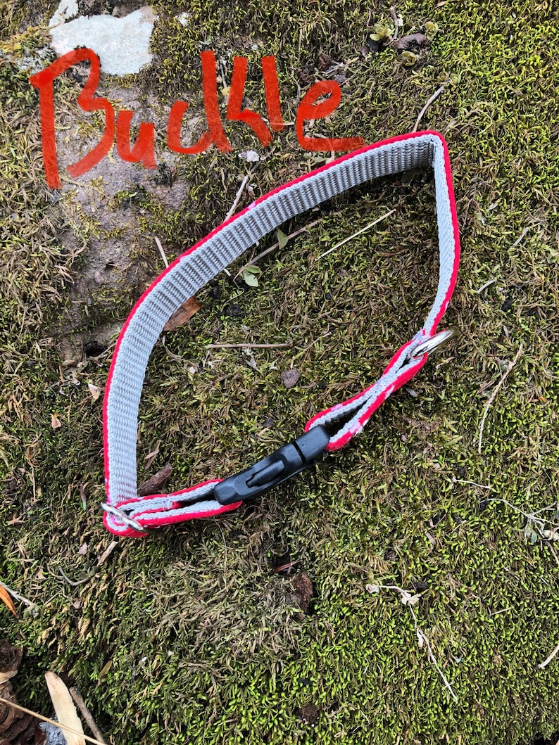 May include: A red and gray dog collar with a black plastic buckle. The collar is lying on a bed of green moss.