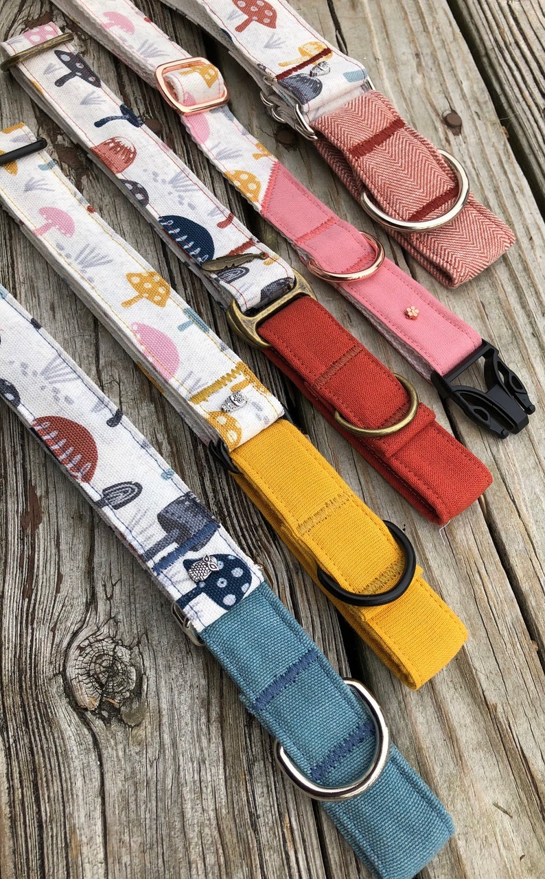 Wild Mushroom martingale dog collar