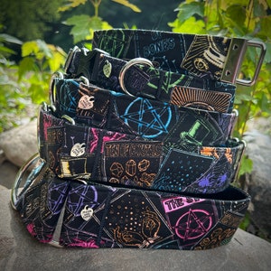 Collar para perro con carta del tarot (letrero de neón)
