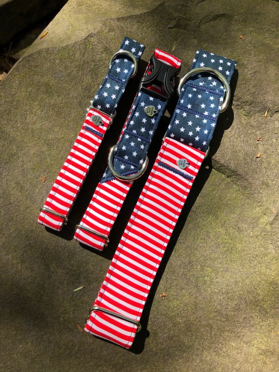 Red, white, and, blue Stars and Stripes dog collar