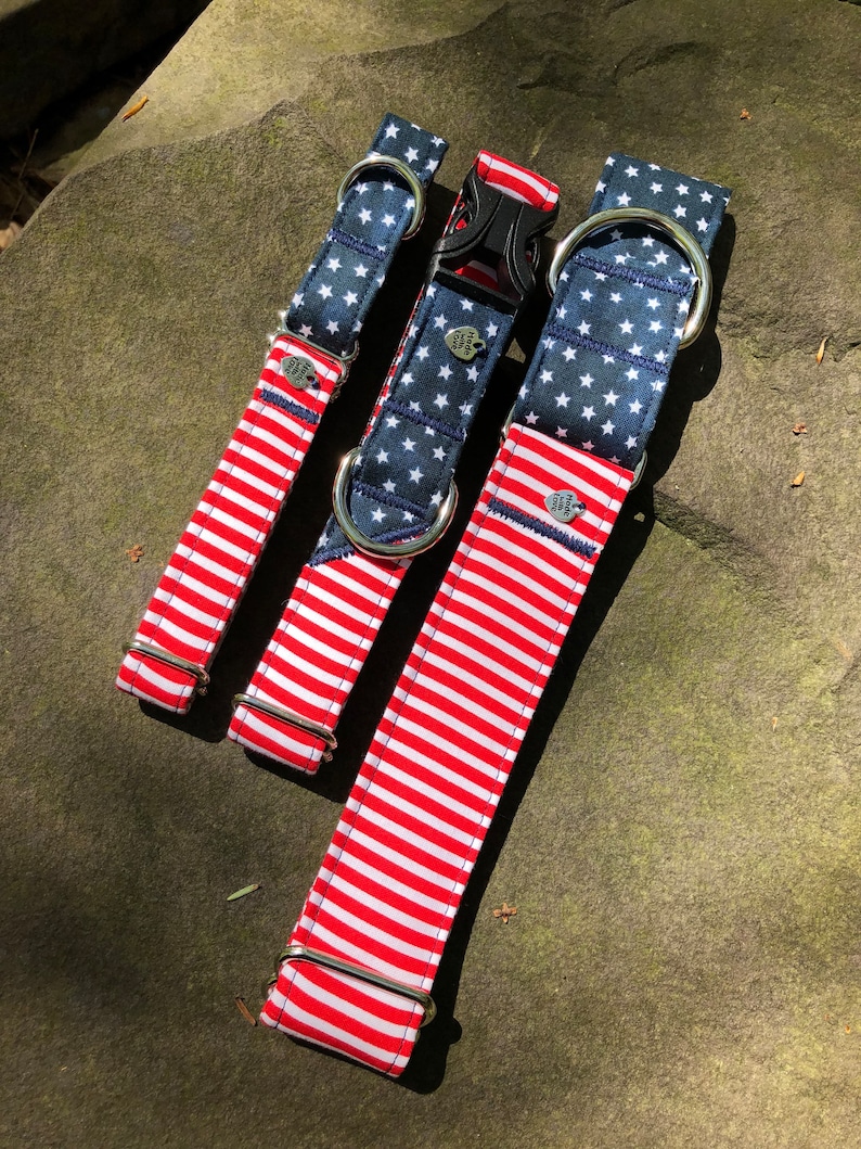 May include: Three dog collars with patriotic designs. One collar features red and white stripes, while the other two have a navy blue background with white stars. All collars have metal hardware and a black plastic buckle.