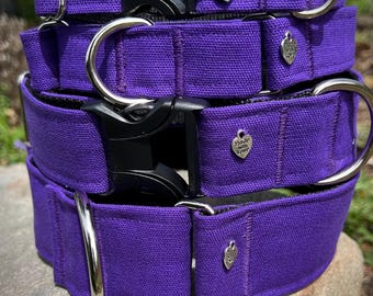 Viking Purple canvas dog collar or leash