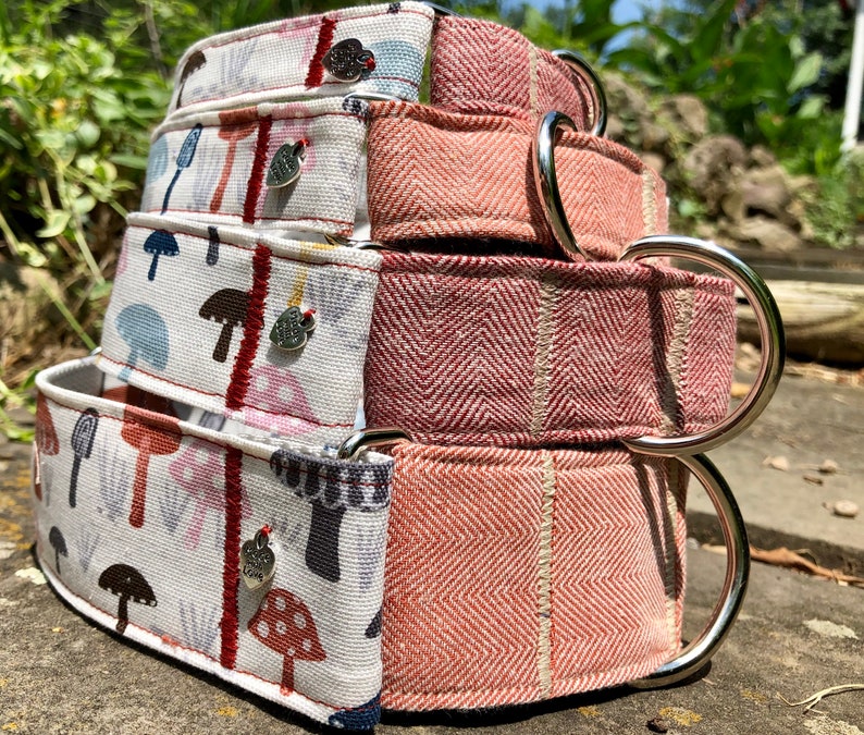 Wild Mushroom martingale dog collar