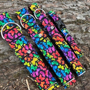 Rainbow butterfly Pride dog collar or leash