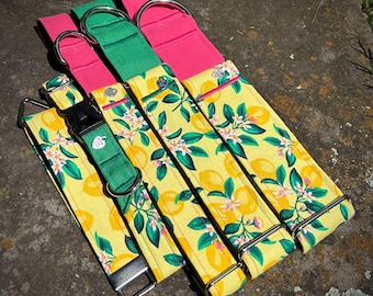 Lemons dog collar or leash