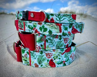 Winter Cardinal dog collar