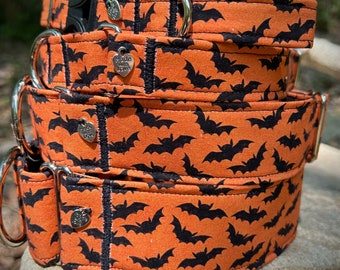 Bats on orange dog collar or leash