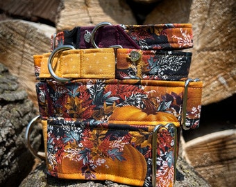 Pumpkin patch dog collar or leash