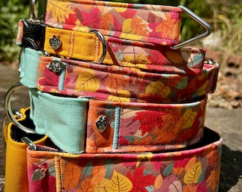 Fall Leaves 2.0 dog collar