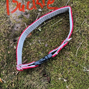 May include: A gray and red dog collar with a black plastic buckle. The collar is made of a woven material with a red trim. The word "Buckle" is written in red on the background.
