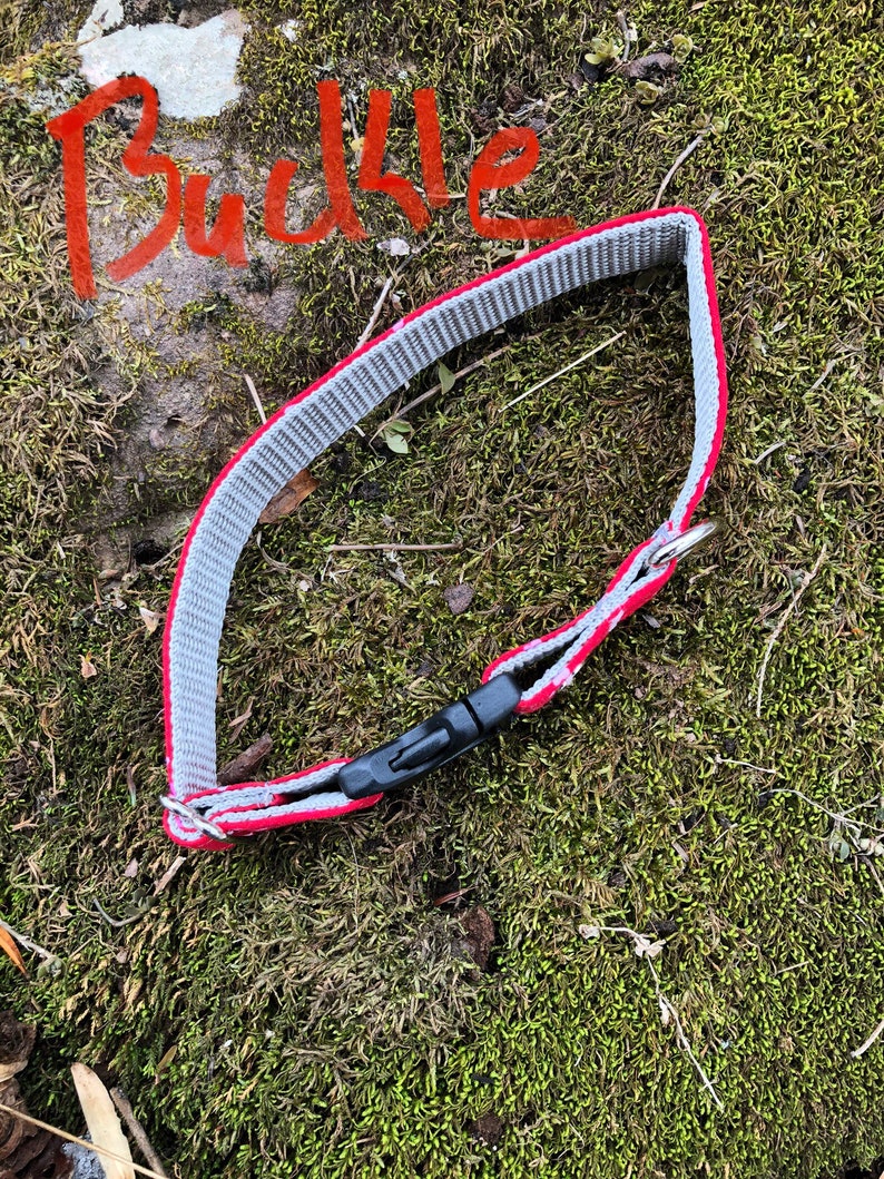 May include: A gray and red dog collar with a black plastic buckle. The collar is made of a woven material with a red trim. The word "Buckle" is written in red on the background.