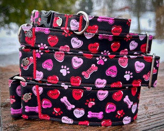 Valentine’s Day dog conversation hearts dog collar