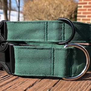 Forest green canvas dog collar