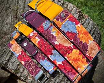 Colorful Leaves dog collar or leash