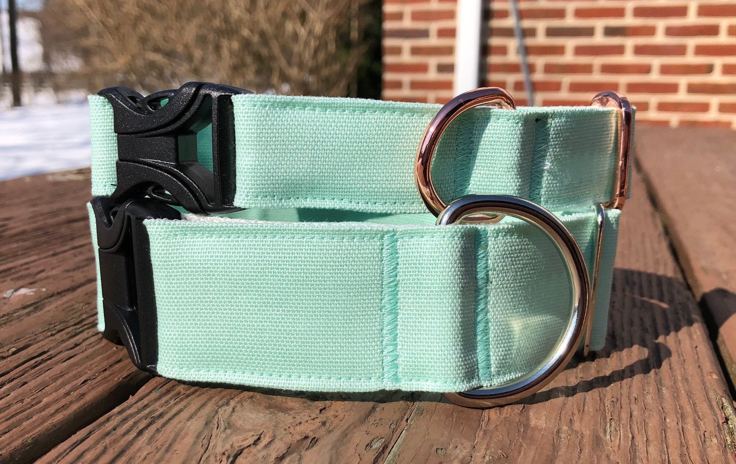 Aqua canvas buckle dog collar Etsy