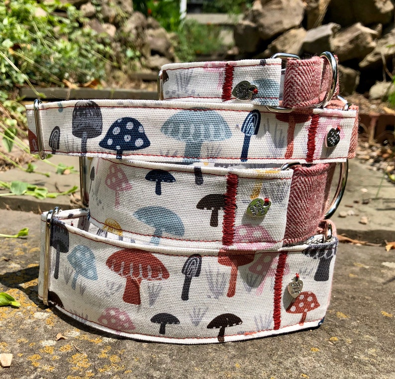Wild Mushroom martingale dog collar
